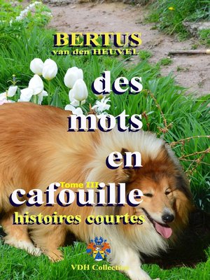 cover image of Des mots en cafouille III